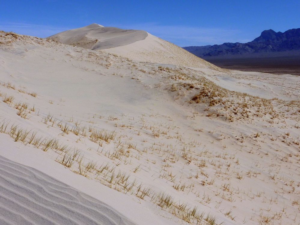 Mojave reserve (13).JPG